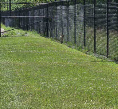 Fencing Contractors Syracuse NY