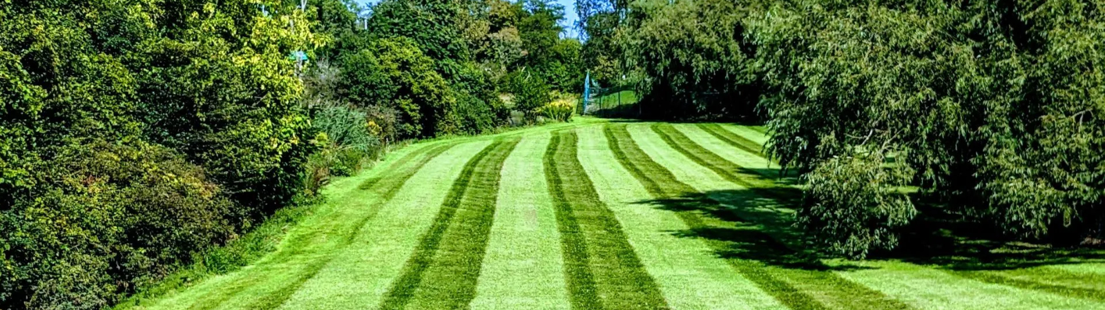 Landscaping Services East Syracuse NY