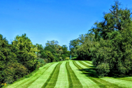 Landscaping Services Syracuse NY