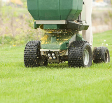 Lawn Care Syracuse NY